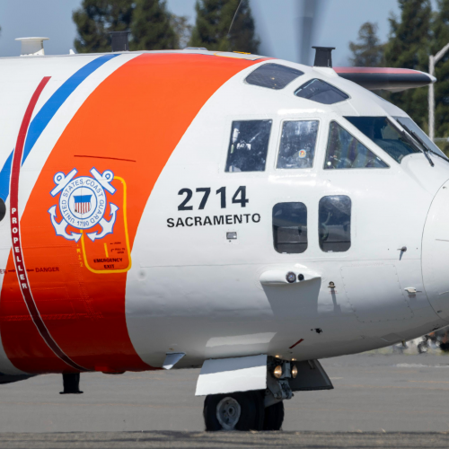 Immersive Flight software interface for emergency air services